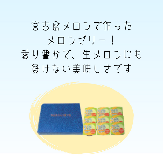 【通販限定】宮古島メロンゼリー9個セット