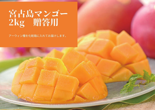 【数量限定】2025贈答用アーウィンマンゴー2kg 化粧箱入り(送料込)
