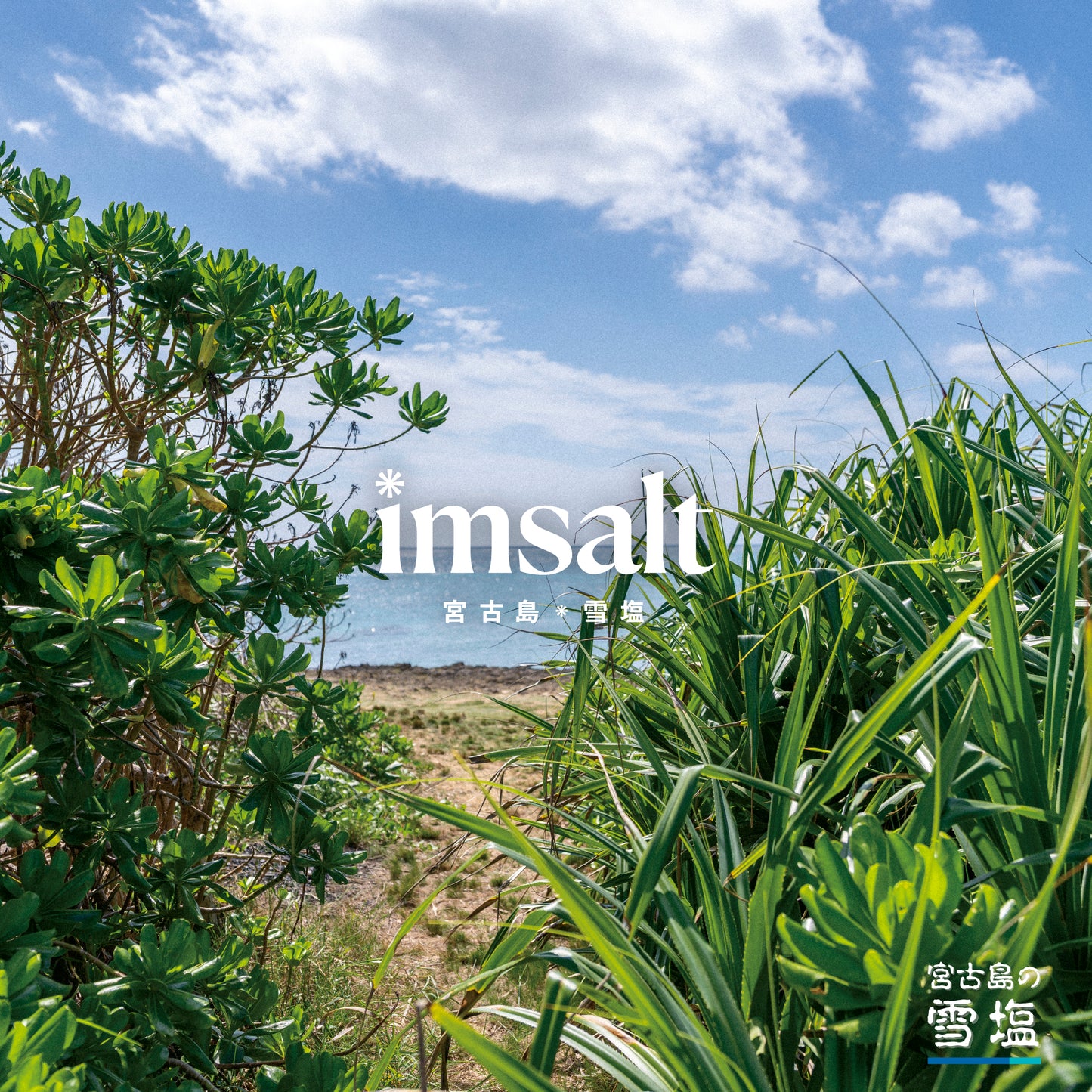 《まとめ買い》imsalt 雪塩ミネラルバスソルト 宮古ナチュラル 無香料 1000g【3袋セット】