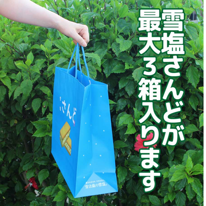 手提げ袋　雪塩さんど