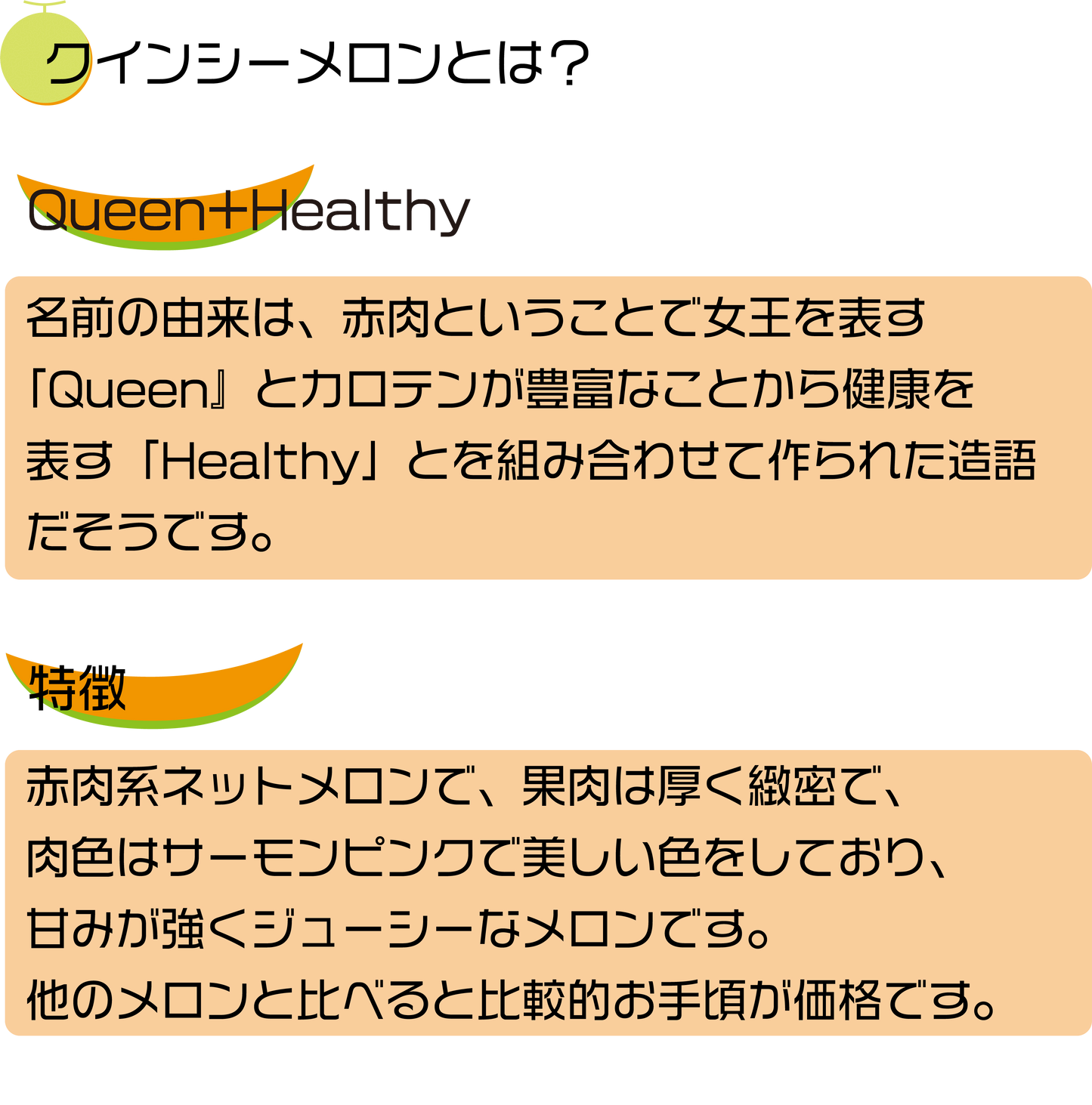 【WEB限定】2024年 宮古島冬メロン 2玉化粧箱（3L 3.4kg～4.0kg)【送料込】