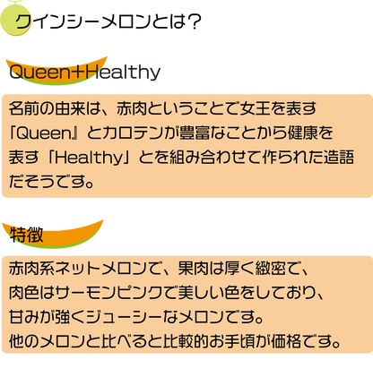 【WEB限定】2024年 宮古島冬メロン 2玉化粧箱（3L 3.4kg～4.0kg)【送料込】