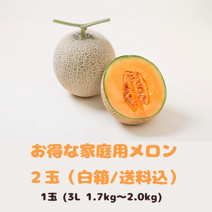 【セール】！お得なご家庭用！【送料込】宮古島メロン（クインシー）２玉３Ｌサイズ＜家庭用＞