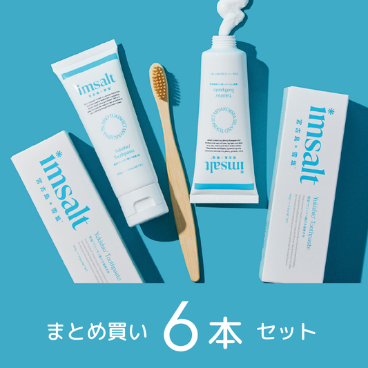 《まとめ買い》imsalt 雪塩歯みがき 100g【6本セット】