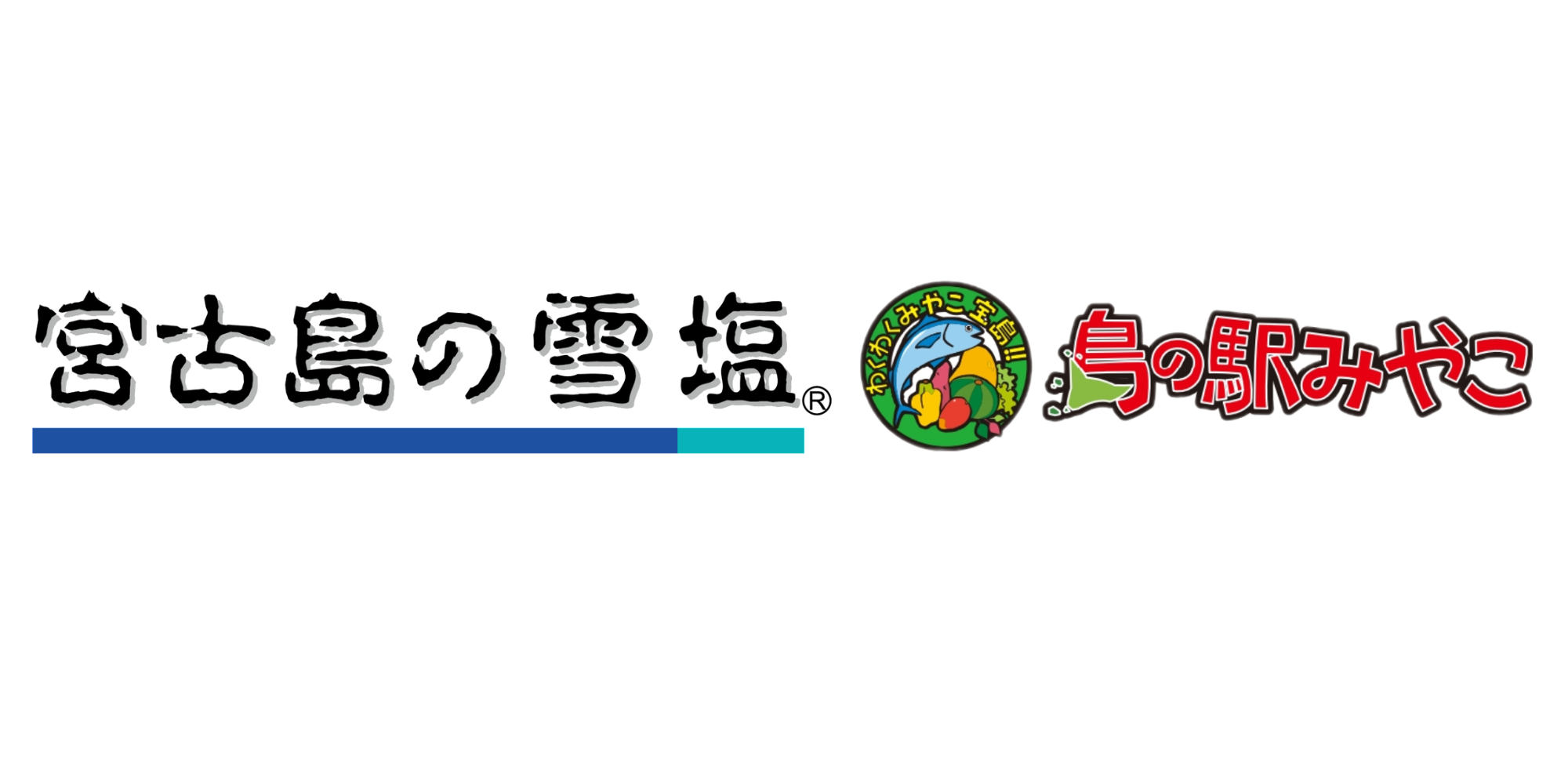 第一ネット ＊商談中＊雪塩×かける：ドレッシングソルト２袋、おにぎり