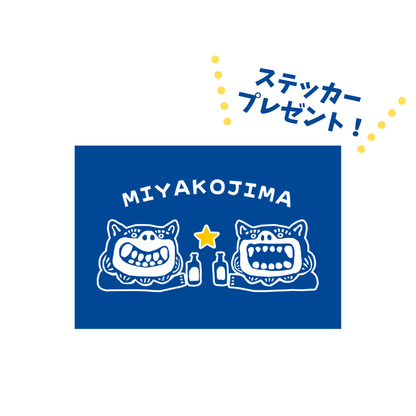 【いつでも宮古島日和】夏のクラシックロゴセット