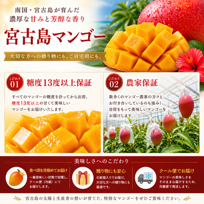 【数量限定】2026年 宮古島産 完熟マンゴー 化粧箱入（1.2kg／2.0kg）【送料無料】