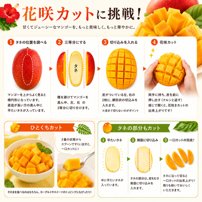 【数量限定】2026年 宮古島産 家庭用 完熟マンゴー（■kg／■kg）【送料無料】