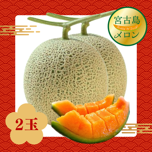2026年 新春！宮古島冬メロン 2玉 贈答用化粧箱入（1Lサイズ 2玉合計2.4kg～3.0kg）【送料込】