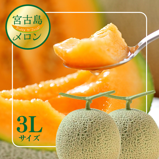2026年 宮古島冬メロン 2玉（3Lサイズ 2玉合計3.4kg～4.0kg）【送料込】