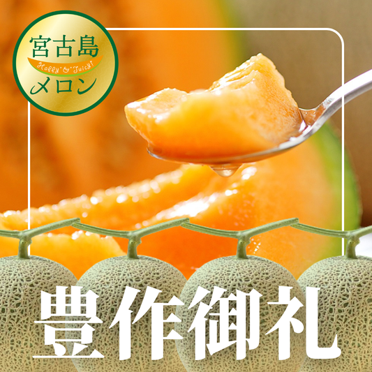【豊作御礼・生産者応援価格】2026年 宮古島春メロン 4玉（3L～4Lサイズ 1玉1.7kg～2.3kg未満）