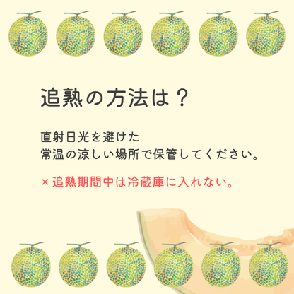 【大玉】2026年 宮古島春メロン 1玉（4L～5Lサイズ 2.3kg以上）
