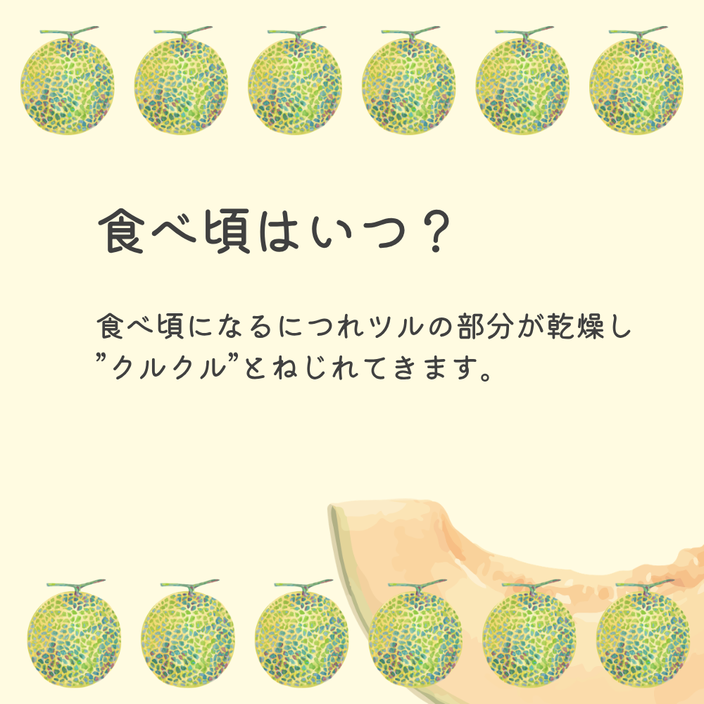 【大玉】2026年 宮古島春メロン 1玉（4L～5Lサイズ 2.3kg以上）