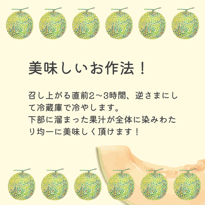 【大玉】2026年 宮古島春メロン 1玉（4L～5Lサイズ 2.3kg以上）