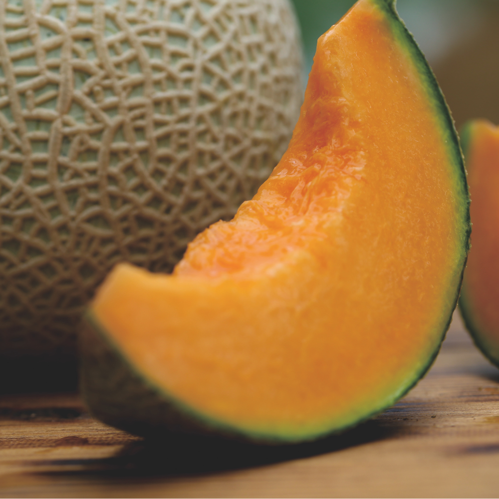 【大玉】2026年 宮古島冬メロン 1玉（5Lサイズ 2.3kg～2.8kg）【送料込】