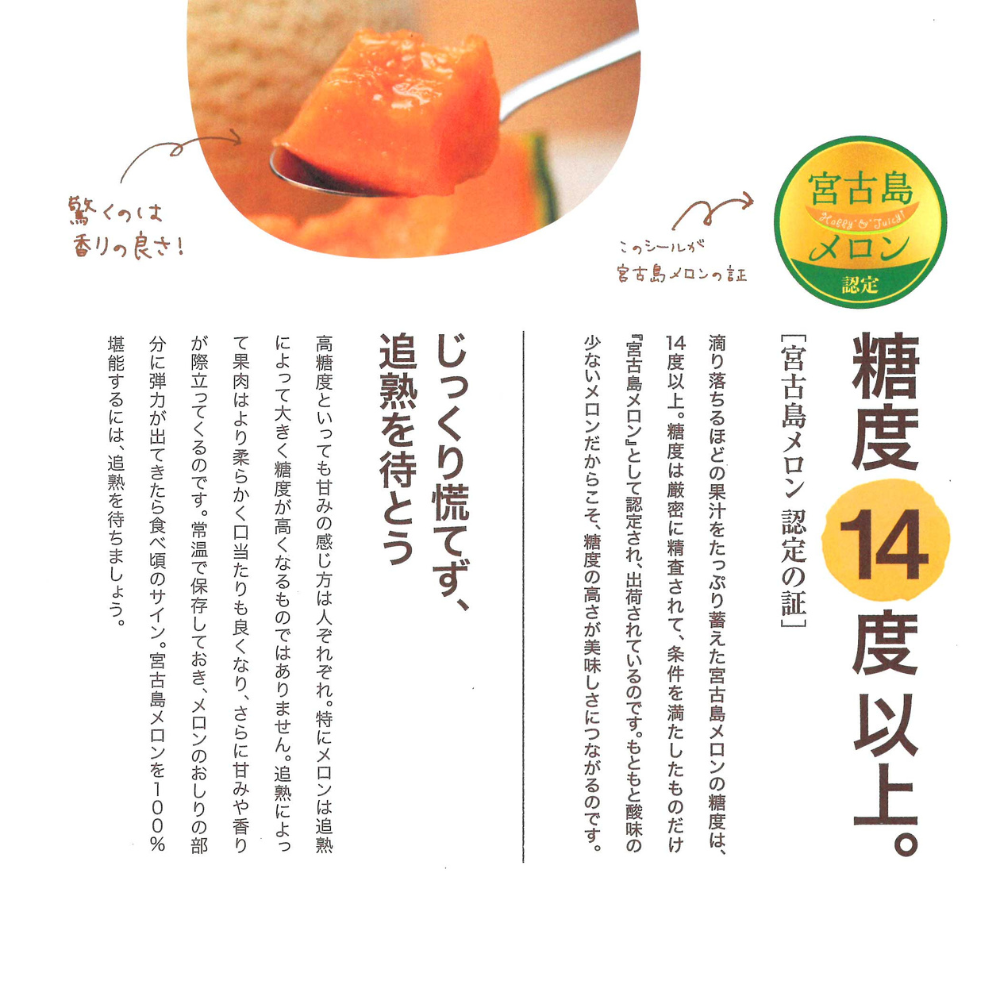 【大玉】2026年 宮古島冬メロン 1玉（5Lサイズ 2.3kg～2.8kg）【送料込】