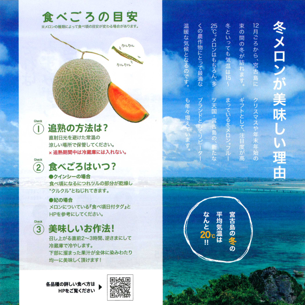 【大玉】2026年 宮古島冬メロン 1玉（5Lサイズ 2.3kg～2.8kg）【送料込】