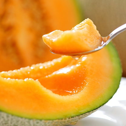 【大玉】2026年 宮古島冬メロン 1玉（5Lサイズ 2.3kg～2.8kg）【送料込】