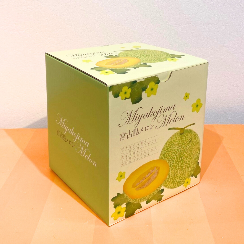 【大玉】2026年 宮古島冬メロン 1玉（5Lサイズ 2.3kg～2.8kg）【送料込】