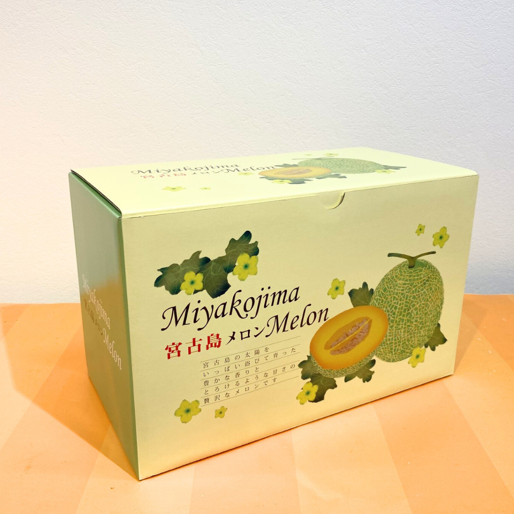 2026年 宮古島冬メロン 2玉（1Lサイズ 2玉合計2.4kg～3.0kg）【送料込】