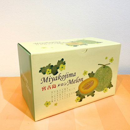 2026年 宮古島冬メロン 2玉（1Lサイズ 2玉合計2.4kg～3.0kg）【送料込】